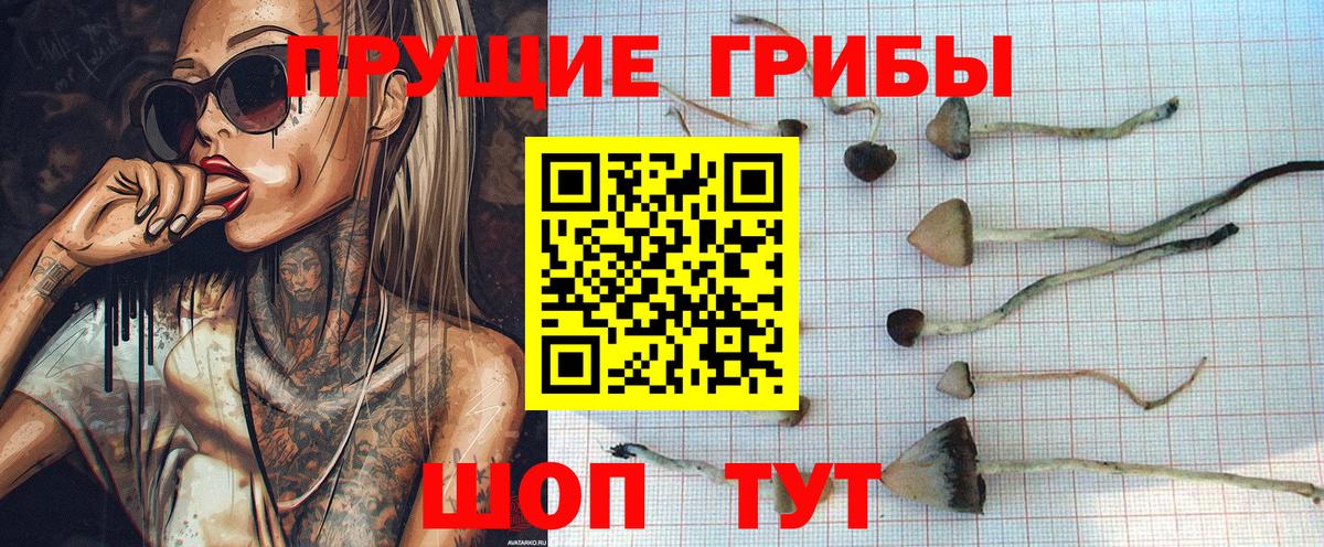 Галлюциногенные грибы Magic Shrooms Артёмовский